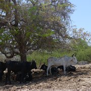 Baja2011 622 : Baja2011